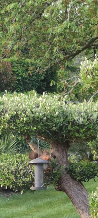 Au Bord Du Golfe Du Morbihan アラドン エクステリア 写真